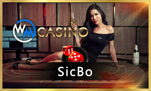 55win q bet cassino entretenimento